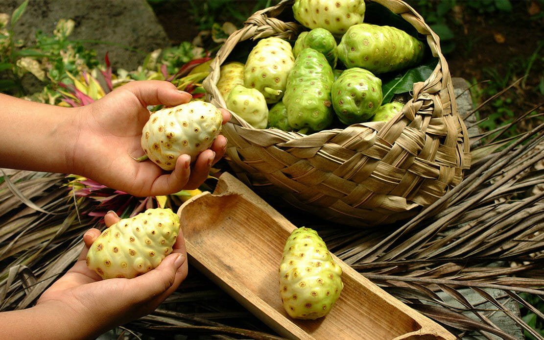плод нони из доминиканы