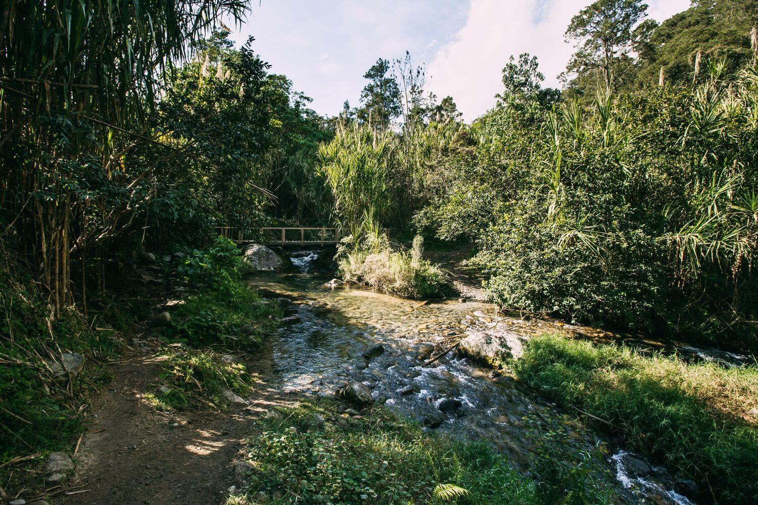 Мост через ручей на горе Пико Дуарте