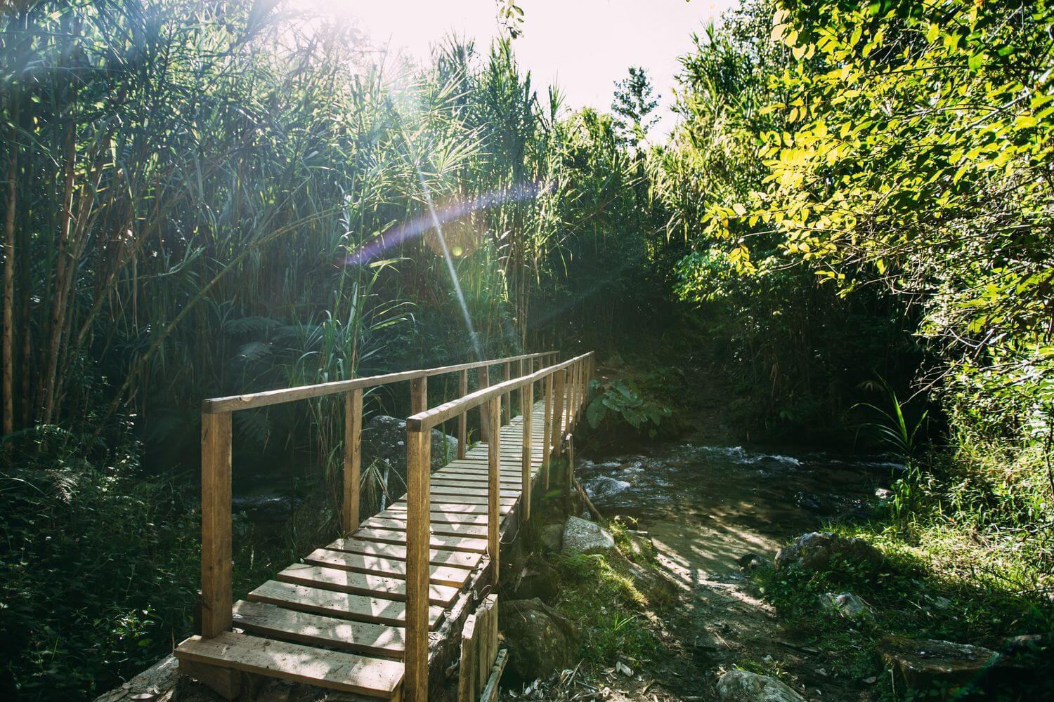 Мост через речку на горе Пико Дуарте