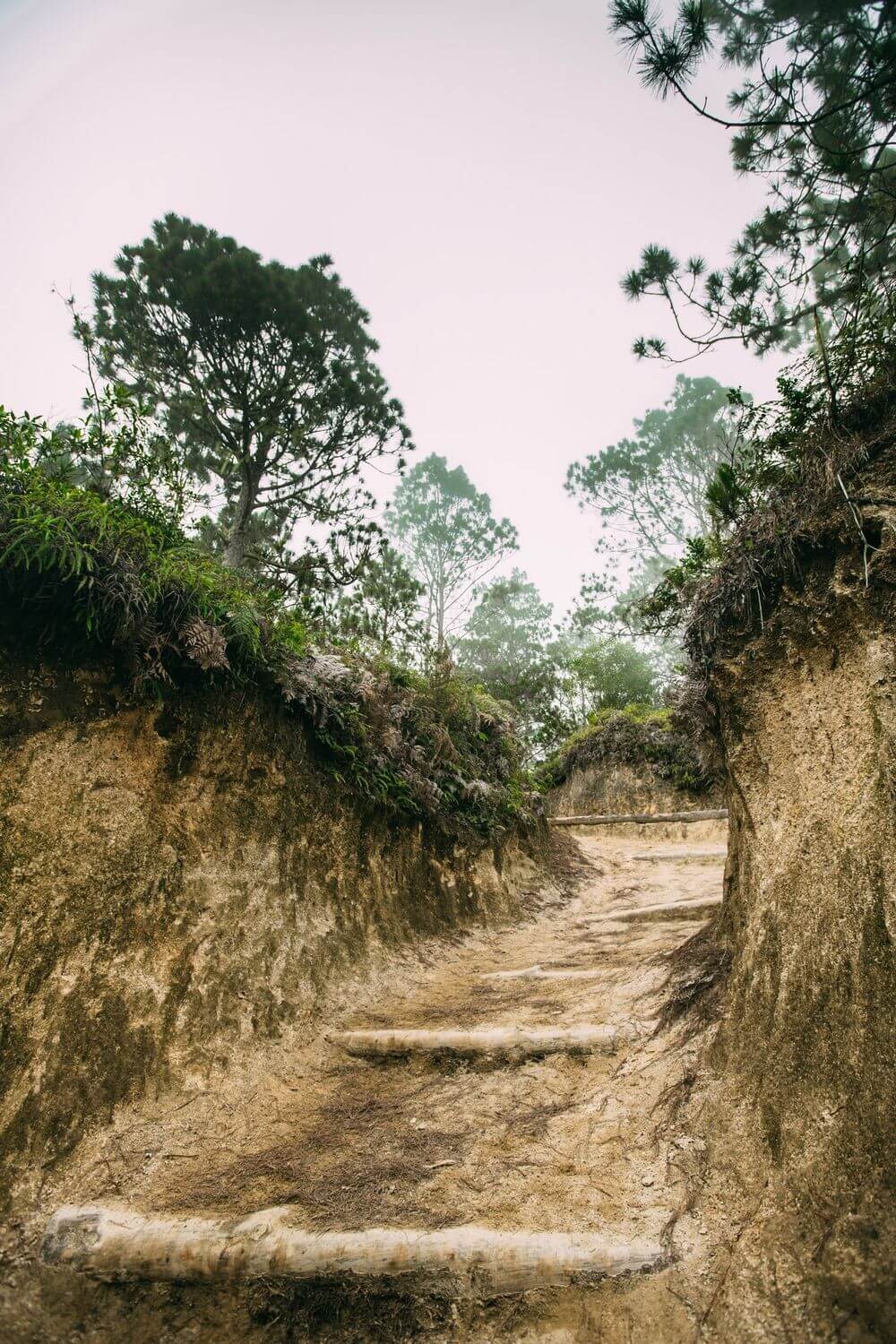 Тропа без камней и деревьев на гору Пико Дуарте